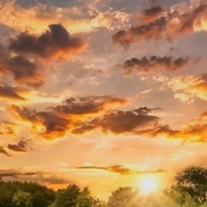 Meet your Posher, Alice